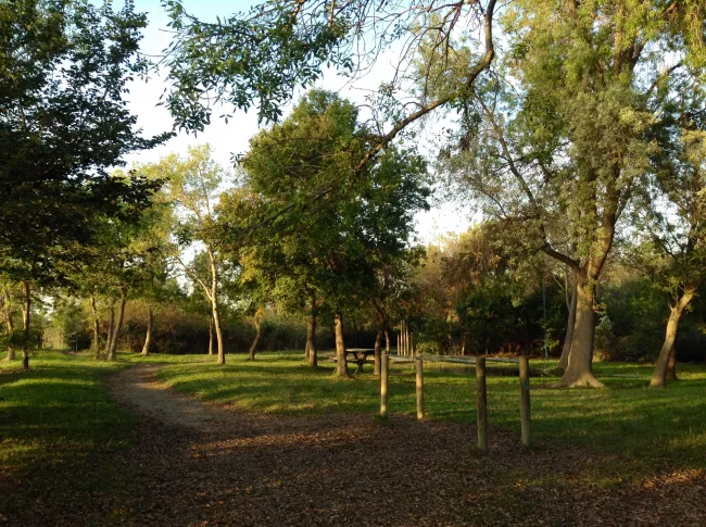 Port-Saint-Louis-du-Rhône — Bois François