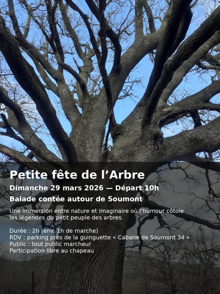 Petite fête de l’Arbre Petite fête de l’Arbre